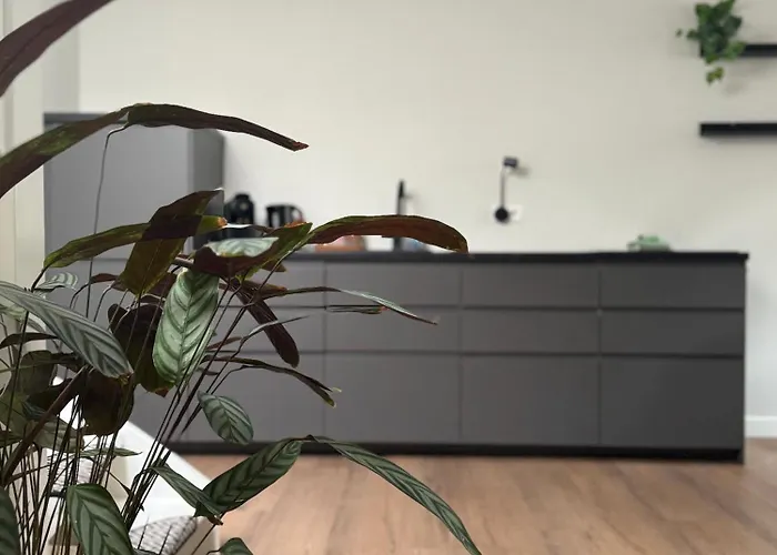 Apartment Tante Ursula